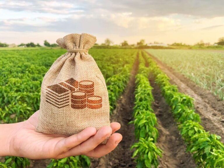 Mais de 1 milhão de pessoas físicas começaram a investir em produtos ligados ao agronegócio. (Imagem: Freepik)
