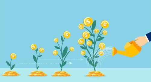 Número de investimentos em renda fixa crescem no Brasil