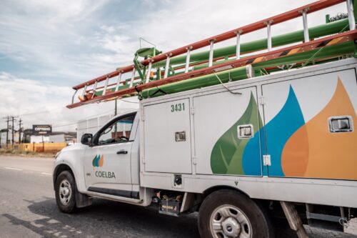 COELBA dividendos. Foto: Reprodução