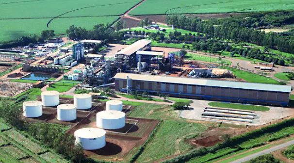 Jalles Machado Reprodução