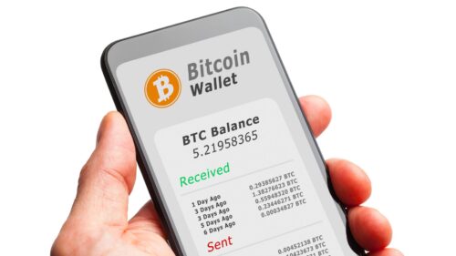 Carteira Bitcoin. Foto: Freepik