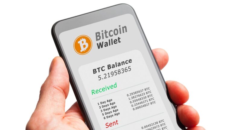 Carteira Bitcoin. Foto: Freepik