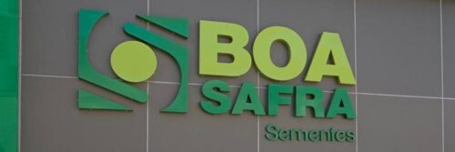 Logo Boa safra. Foto: Reprodução