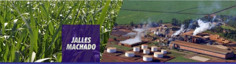 Jalles Machado (JALL3) anuncia pagamento de R$ 129,552 milhões em dividendos aos acionistas