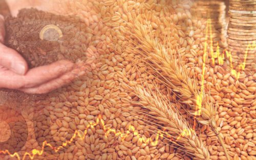 Inflação medida pelo IGP-10 registra leve queda em agosto, com commodities influenciando resultado. Foto: Reprodução FGV