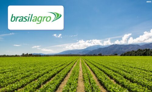 Dividendos BrasilAgro (AGRO3): empresa vai distribuir R$ 320 milhões