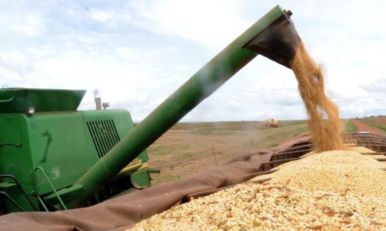 BrasilAgro (AGRO3) anuncia pagamento de R$ 320 milhões em dividendos. Foto: shutterstock