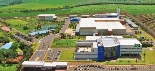 Ouro Fino (OFSA3) Anuncia Pagamento de Juros sobre Capital Próprio aos Acionistas