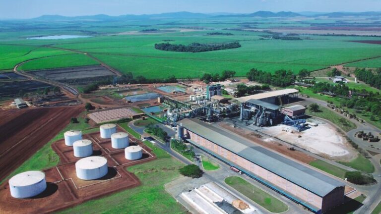 XP Investimentos prevê forte desempenho para Jalles Machado (JALL3) com resultados sólidos no segmento de açúcar