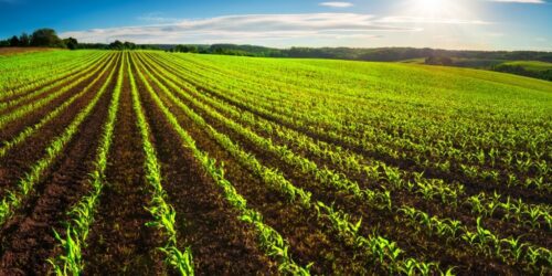 Fiagros têm captação líquida de R$ 20,5 milhões em janeiro, revela Anbima