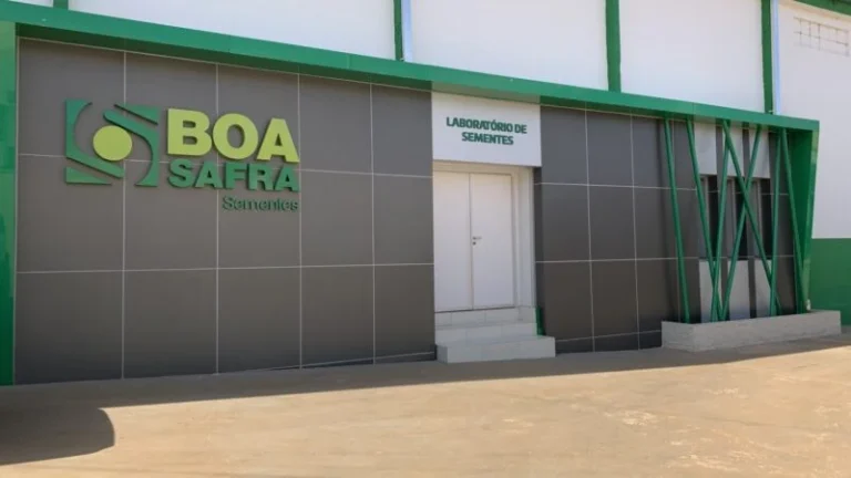 Boa Safra(SOJA3) fecha 4º tri com lucro de R$145,9 milhões