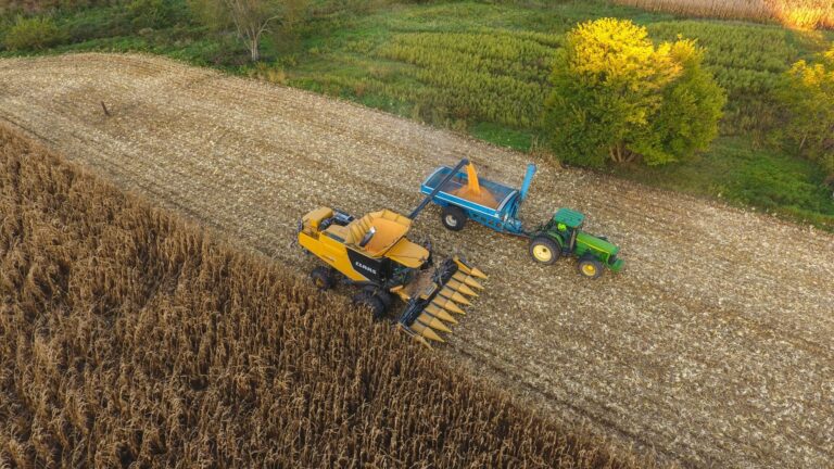 Mercado de Fiagros enfrenta "dores do processo de maturação", diz especialistas