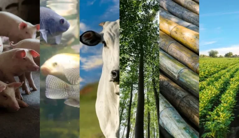 As principais ações do agronegócio para investir no setor