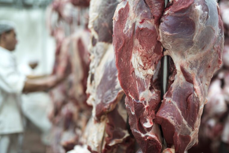 Brasil amplia exportação de carne para a china com 38 frigoríficos habilitados