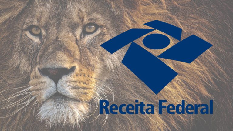 Malha Fina Imposto de Renda