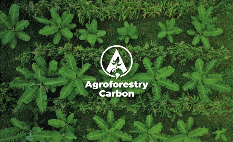Agroforestry Carbon vêm liderando a restauração ambiental com eficiência