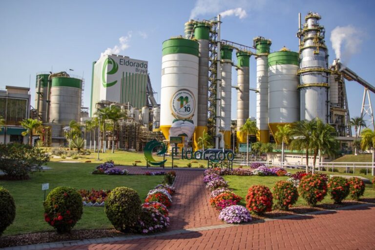 Grupo J&F anuncia Investimento de R$ 25 bi na Eldorado Brasil