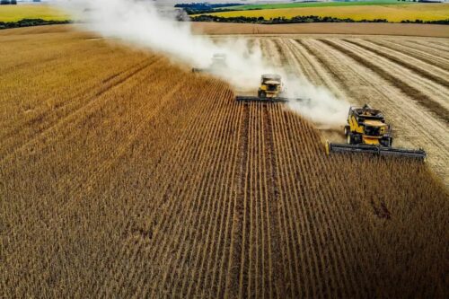 Fiagro VGIA11 anuncia novos dividendos; saiba mais