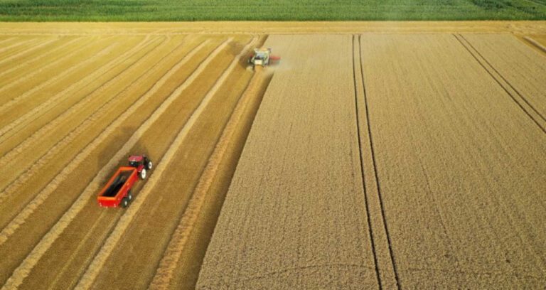 um trator trabalhando em um campo