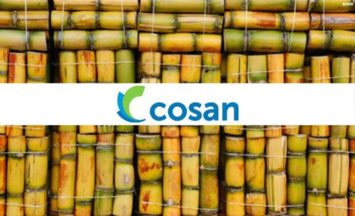 bamboo com logo cosan