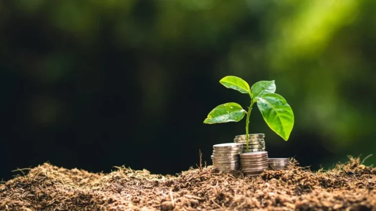 SNAG11 anuncia valor dos dividendos que serão pagos em junho