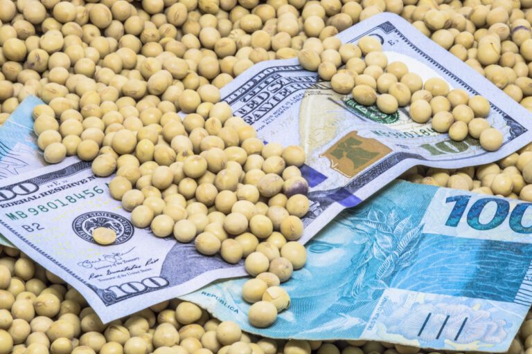 SNAG11 pagará dividendos hoje (25); veja detalhes