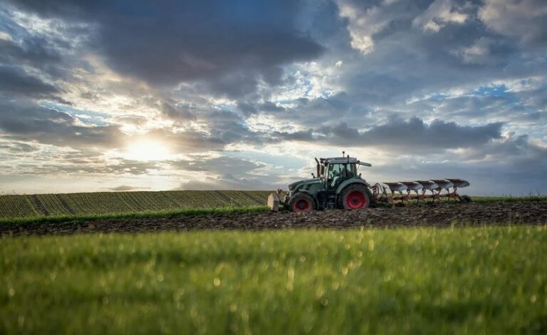 CMN flexibiliza regras de crédito rural no Rio Grande do Sul com embargo ambiental