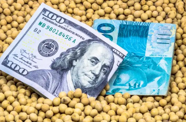 Brasil registra maior taxa de investimento desde 2022; perspectivas enfrentam desafios com juros e dólar