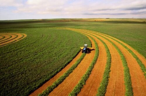 IBGE ajusta previsões para safra agrícola de 2024