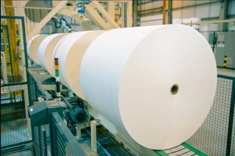 Suzano projeta redução de 13,6% no custo caixa de produção de celulose até 2027