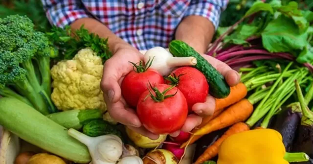 Banco do Brasil informa recorde de R$ 260 bi para financiamentos no Plano Safra