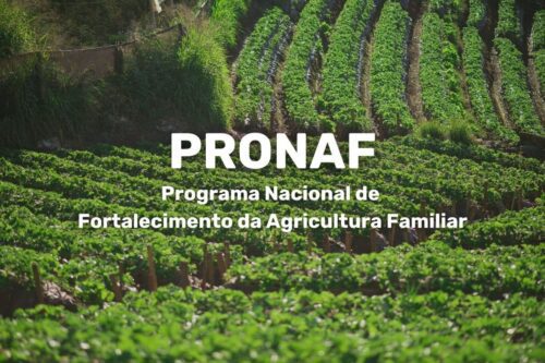 Campo verde com texto “PRONAF Programa Nacional de Fortalecimento da Agricultura Familiar.