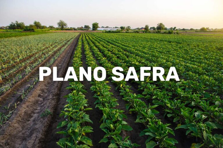 Campo de cultivo sob céu claro com texto Plano Safra destacado.