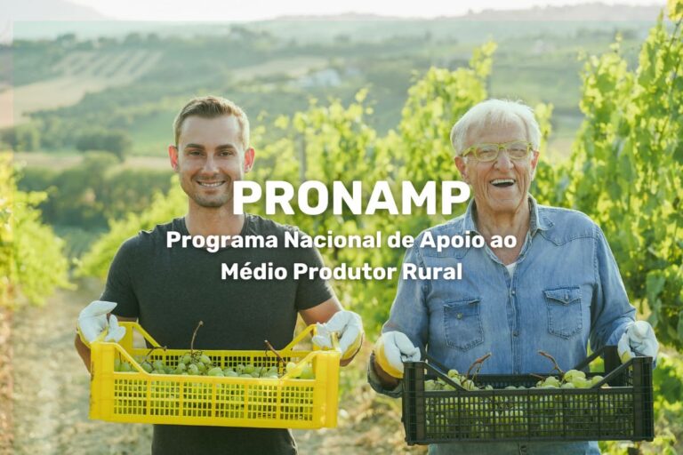 Duas pessoas em um vinhedo, segurando cestos de uvas, com texto sobre o Pronamp.