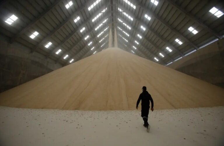 Alta do açúcar impulsiona preços mundiais dos alimentos em setembro, afirma FAO