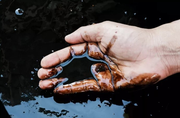 Produção nacional de petróleo e gás: recorde de 4,3 mi de barris por dia em novembro