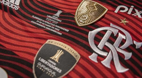 Lucro do Flamengo cai drasticamente em 2024