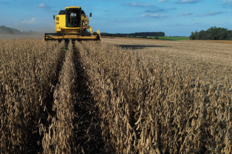 PIB cresce no 1T25 impulsionado pelo agro e avança na comparação anual