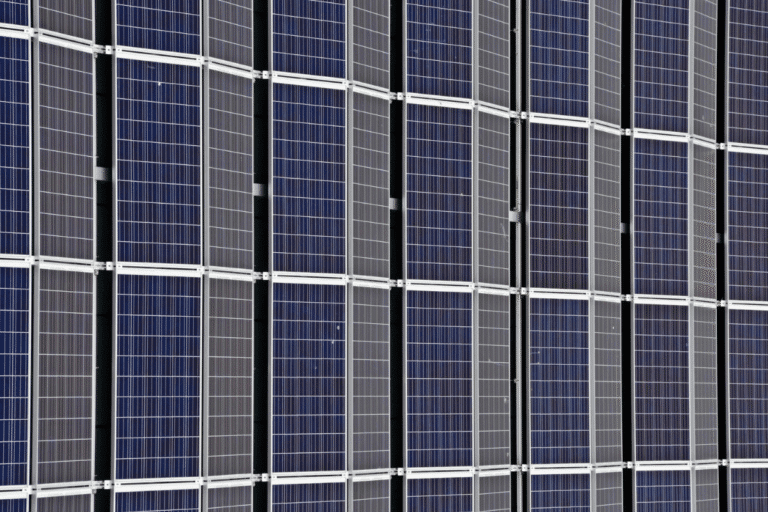 SNEL11 amplia receita com novas aquisições e registra lucro de R$ 2,4 milhões em abril