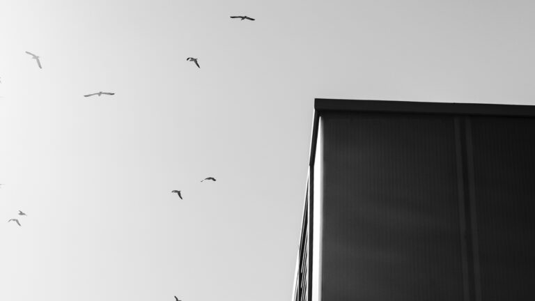 Bonito no pitch, difícil na prática: como as startups crescem