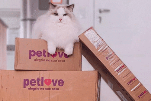 Petlove tenta impedir fusão entre Petz (PETZ3) e Cobasi com último recurso no Cade