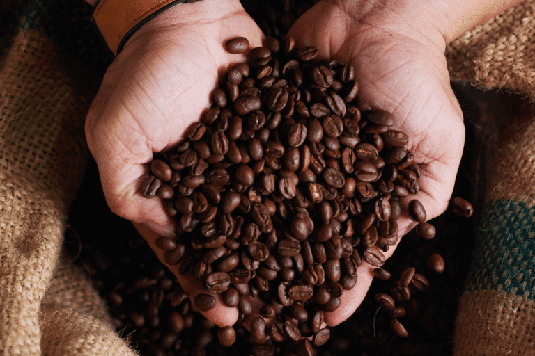 Exportadores de café descartam ruptura com EUA após nova tarifa de 50%