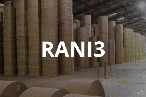 Imagem de um grande estoque de rolos de papel em uma fábrica ou armazém, com a palavra RANI3 destacada ao centro.