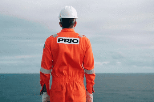 Profissional de segurança do trabalho usando uniforme laranja e capacete branco, observando o oceano em ambiente marítimo, promovendo segurança na indústria naval.