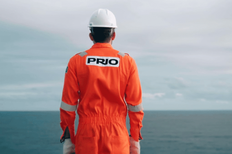 Profissional de segurança do trabalho usando uniforme laranja e capacete branco, observando o oceano em ambiente marítimo, promovendo segurança na indústria naval.