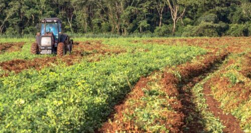 Imagem que representa os investimentos no agronegócio do Brasil (fiagros)