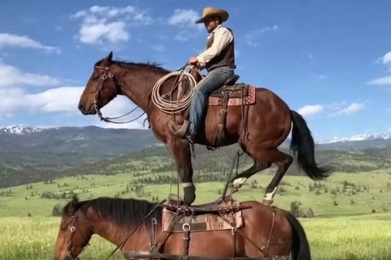 Homem cavaleiro em cima de um cavalo que está em cima de outro cavalo ao ar livre com paisagem de campo e montanhas ao fundo, em uma imagem criada por Inteligência Artificial pelo Sora 2