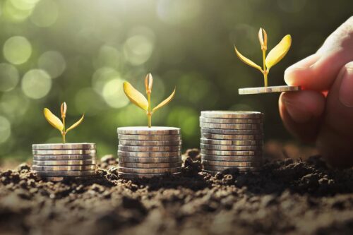 Moedas empilhadas com brotos crescendo simbolizando como investir no agronegócio em 2026 e obter crescimento sustentável.