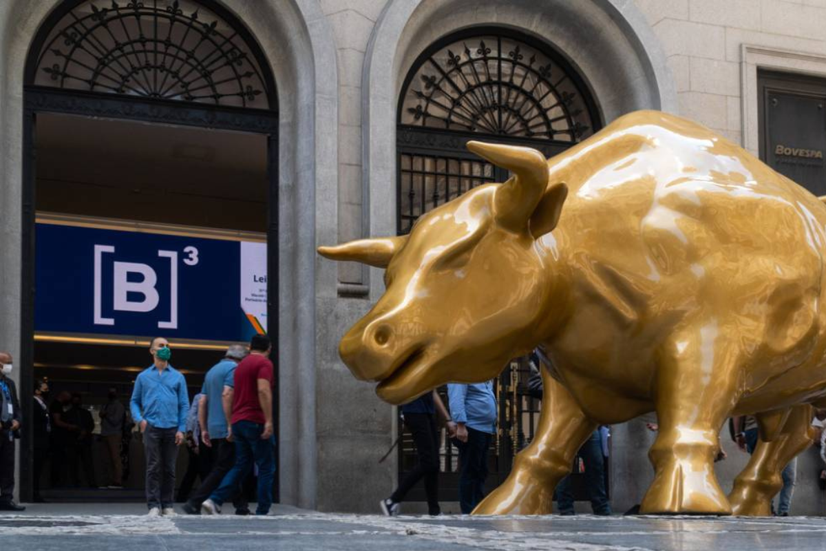 bolsa brasileira em alta bull market