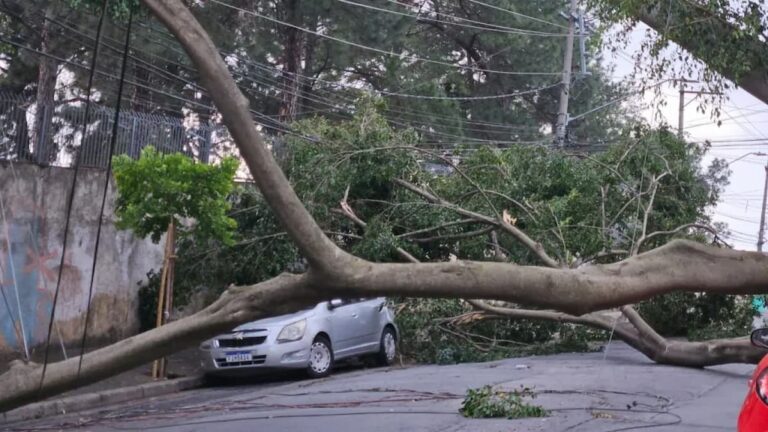 Carro atingido por árvore caída após ventania em São Paulo, com galhos bloqueando a rua e fios tensionados.